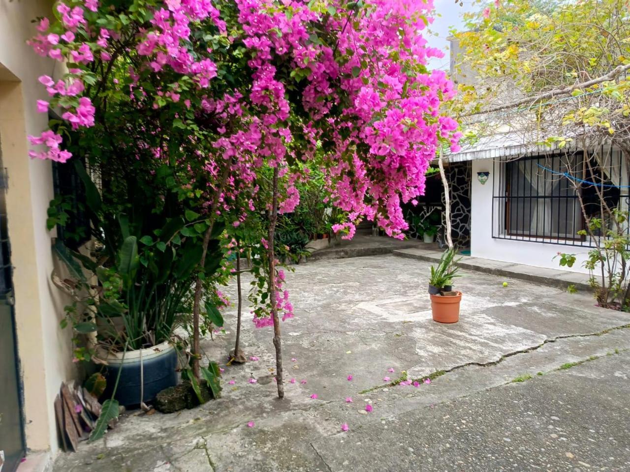 Posada Familiar Papantla Exterior photo